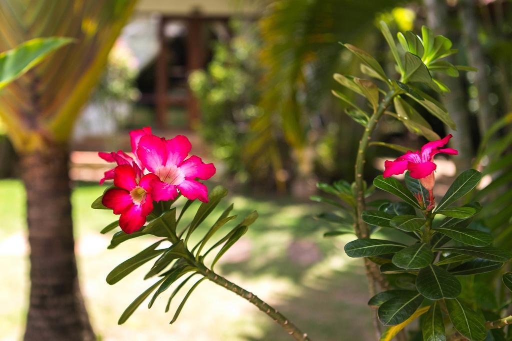 Easy Time Resort Laem Sai Beach Eksteriør billede